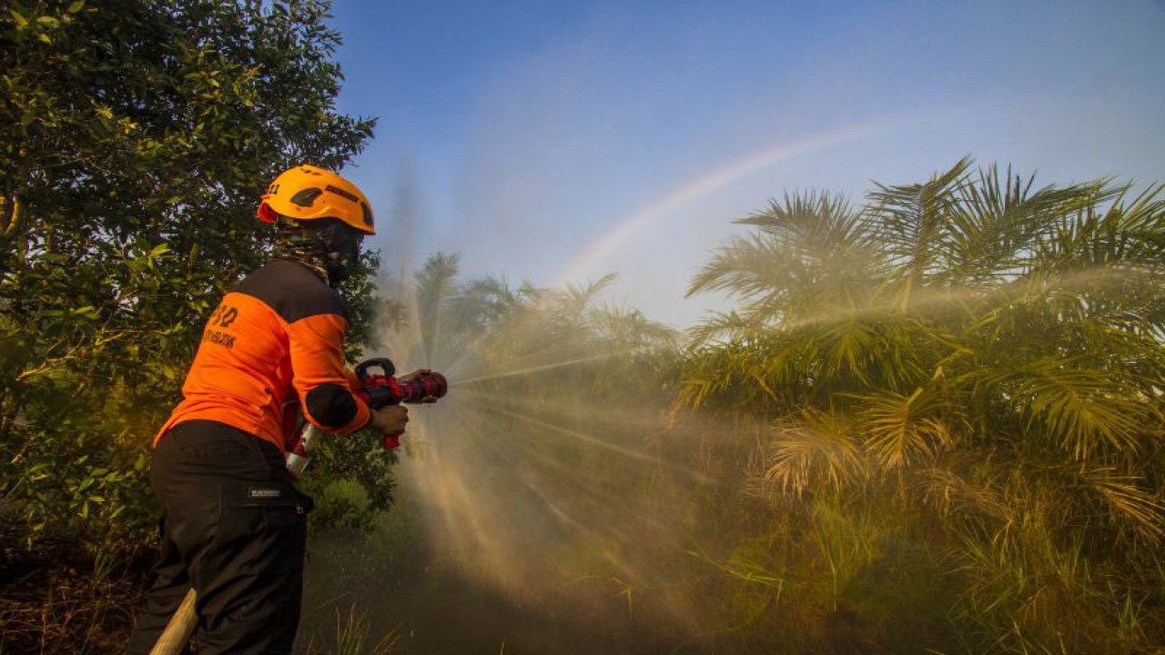 Petugas Badan Penanggulangan Bencana Daerah (BPBD) Provinsi Kalsel berupaya memadamkan api yang membakar lahan di Banjarbaru, Kalimantan Selatan, Senin (29/5/2023). ANTARA FOTO/Bayu Pratama S/foc