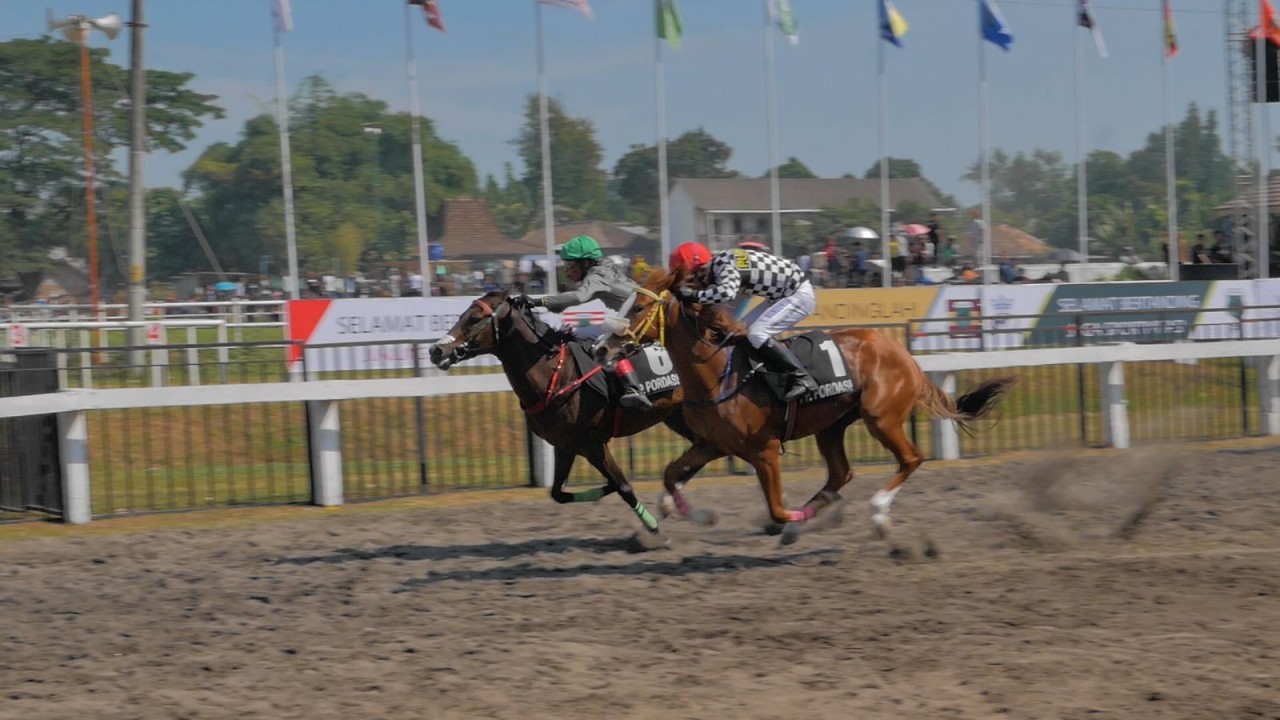 Dua kuda unggulan bersaing ketat dalam Kejuaraan Pacu Kuda Tingkat Nasional Piala Tiga Mahkota Pordasi Seri II dan Piala Pertiwi Tahun 2023 di Gelanggang Pacu Kuda Stadion Sultan Agung (SSA) Bantul/ist
