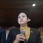 Puan-1684324093