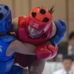 wushu-1683945779