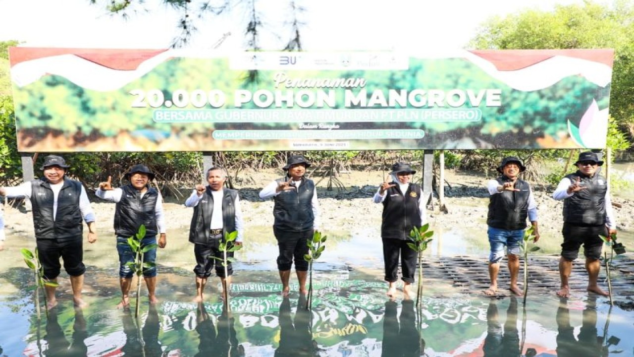 Gubernur Jatim Khofifah Indar Parawansa (ketiga dari kanan) saat melakukan penanaman mangrove bersama petinggi PLN di Ekowisata Mangrove Gunung Anyar Surabaya, Jumat (9/6/2023). (ANTARA/HO-PLN)