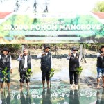 Gubernur Jatim: Penanaman 20 ribu mangrove upaya jaga kelestarian alam-1686308286