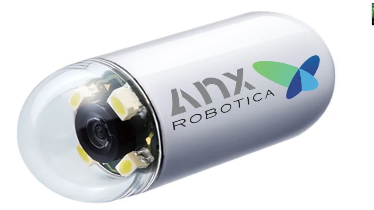 AnX Robotica. (Engadget)