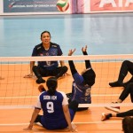 Volly-1686104888