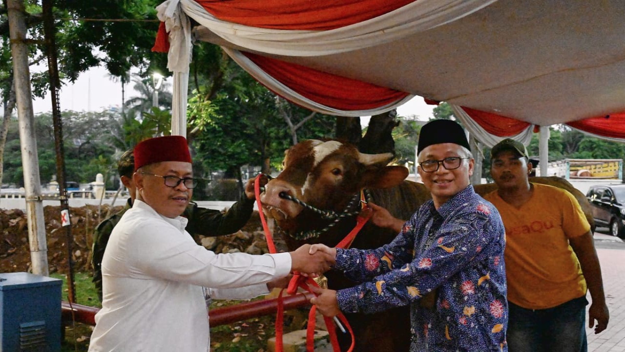 Wapres Kurban Sapi Limousin di Masjid Istiqlal