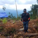 KLHK menetapkan status tersangka perambah hutan di Sulawesi Selatan-1690788152