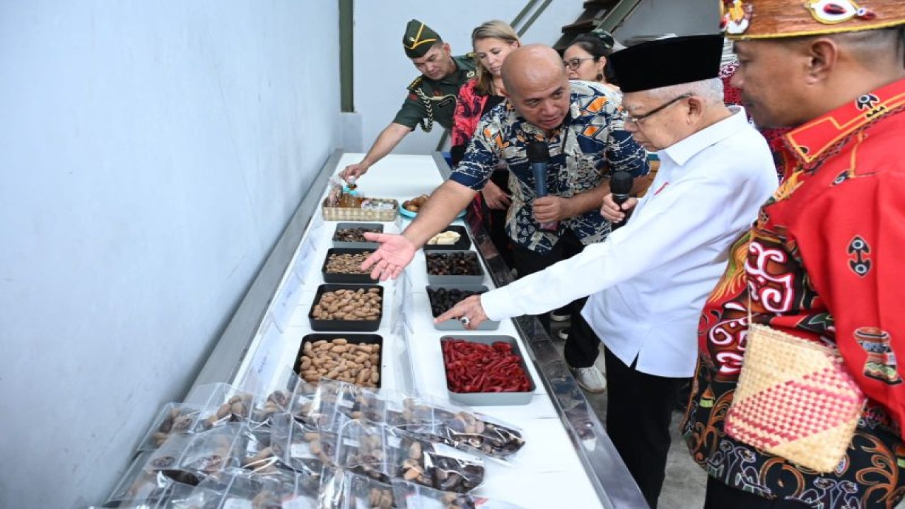 Wakil Presiden Ma'ruf Amin saat meninjau pabrik pengolahan pala Papua Global Spices di Fakfak, Papua Barat, Kamis (13/7/2023). ANTARA/HO-BPMI Setwapres