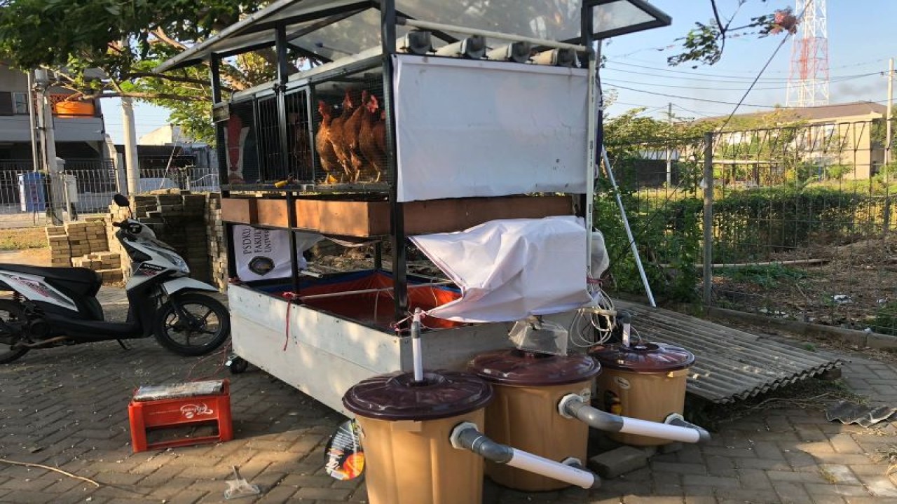 Model ZWIFS (Zero Waste Integrated Farming System) yang sudah diisi ayam, ikan dan tanaman sayur yang dikembangkan dosen dan mahasiswa Universitas Brawijaya (UB) di Desa Kemiren, Kecamatan Glagah, Banyuwangi (ANTARA/HO/Universitas Brawijaya/End)