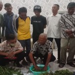 Pemkot Pekalongan minta petani hemat gunakan pupuk kimia-1690457011