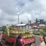 Pertamina tambah 368.480 tabung elpiji tiga kilogram di Bali-1690452785