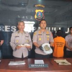 Polres Taput tangkap bandar narkoba jenis ganja-1690444158