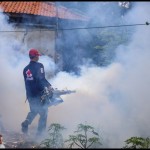 Warga Kabupaten Tangerang diminta waspadai penyakit chikungunya-1690788040