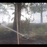 Aksi pemadaman oleh BPBD Kalbar terhadap lahan terbakar di Kubu Raya, Rabu (16/8/2023). (ANTARA/Dedi)-1692176689