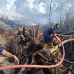 BMKG ajak waspadai penambahan titik panas di Kaltim-1691046068