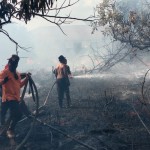 BPBD Palangka Raya waspadai ancaman peningkatan karhutla-1692179380