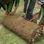 Dirut Jakpro sebut pekerjaan gulung rumput JIS bagian dari perawatan-1693474115