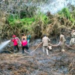 Jumlah titik panas indikasi kebakaran di Kalimantan Timur bertambah-1691384071