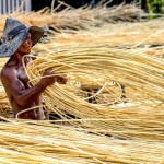Katingan Mentaya Project luncurkan laporan SDG Impact Report-1691046621