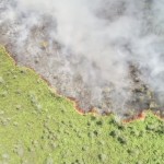 Kebakaran lahan di Kotawaringin Timur perlu pemadaman melalui udara-1691131831