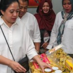 Ketua DPR RI Dr. (H.C) Puan Maharani-1693133733