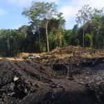 KLHK tetapkan status tersangka penambang batu bara ilegal di IKN-1691139643