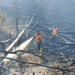 Pemkab Penajam Paser Utara berhasil cegah meluasnya karhutla-1690877177
