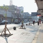 Pemkot tanam 100 pohon di Jalan Sudirman untuk teduhkan Bandung-1691049428