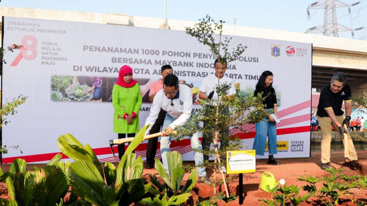 Penjabat (Pj.) Gubernur DKI Jakarta Heru Budi Hartono melakukan penanaman seribu pohon Ketapang Kencana, sepanjang 4,2 kilometer di kolong Tol Becakayu, Duren Sawit, Jakarta Timur (Jaktim), pada Sabtu (19/8/2023). (Istimewa/Pemprov DKI Jakarta)