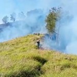 Pengelola TNGR turunkan petugas untuk padamkan kebakaran kawasan hutan-1691139507