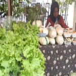 Petani-1691496291