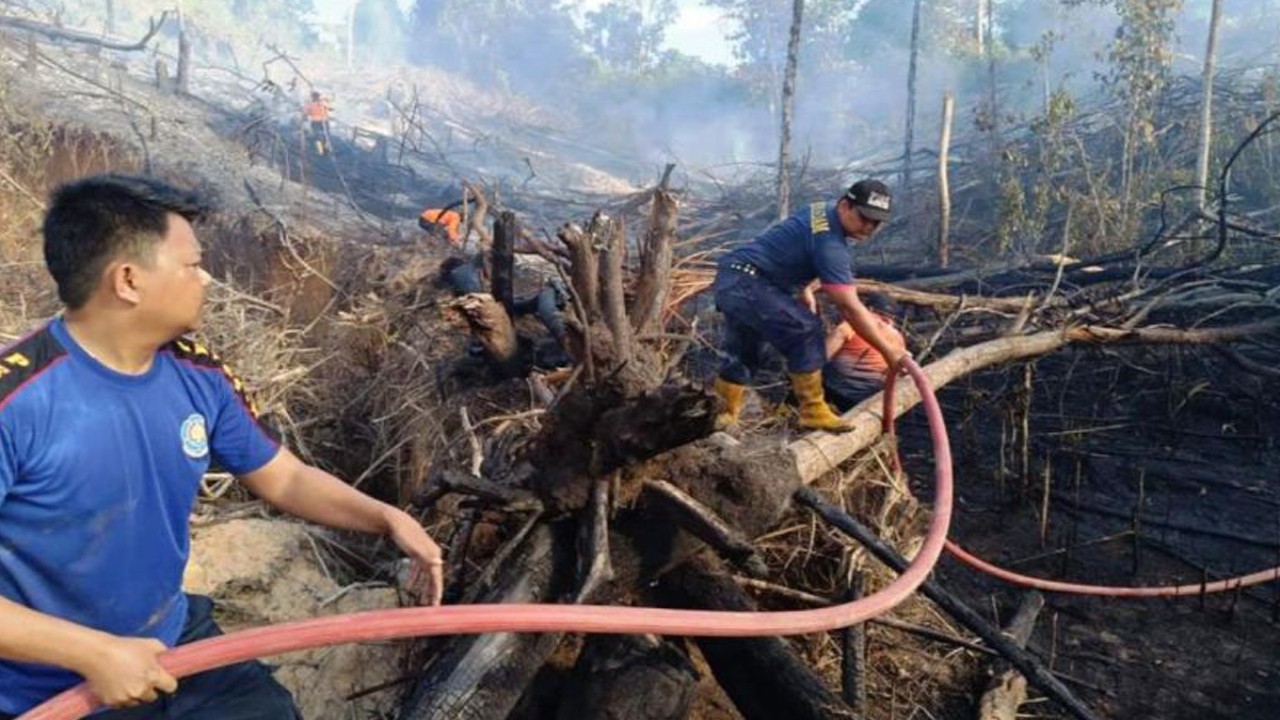 Petugas Damkar dan Pusdalops BPBD Kabupaten PPU memadamkan karhutla di Lawe-Lawe, Kecamatan Penajam, Senin (31/7/2023). (ANTARA/HO-Pusdalops BPBD Kabupaten PPU)