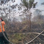 Petugas dari BPBD Kalbar melakukan pemadaman kebakaran lahan di Kubu Raya (ANTARA/HO- BPBD Kalbar).-1690874537