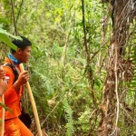 SAR Samarinda masih cari pekerja hilang di hutan-1692177354