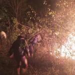 BNPB: Kebakaran satu hektare lahan di lereng Gunung Merbabu dijinakkan-1695881065