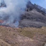 bromo-1693577718
