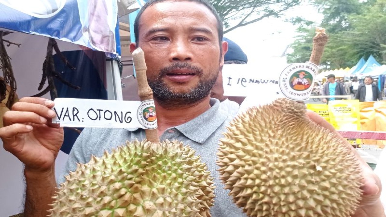 Petani Kabupaten Lebak berhasil mengembangkan durian varietas Sangkanwangi 1 dengan tampil pada Jambore 1 Petani Peternak Nelayan di Rangkasbitung, ANTARA/Mansur