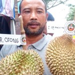 Durian-1695472486