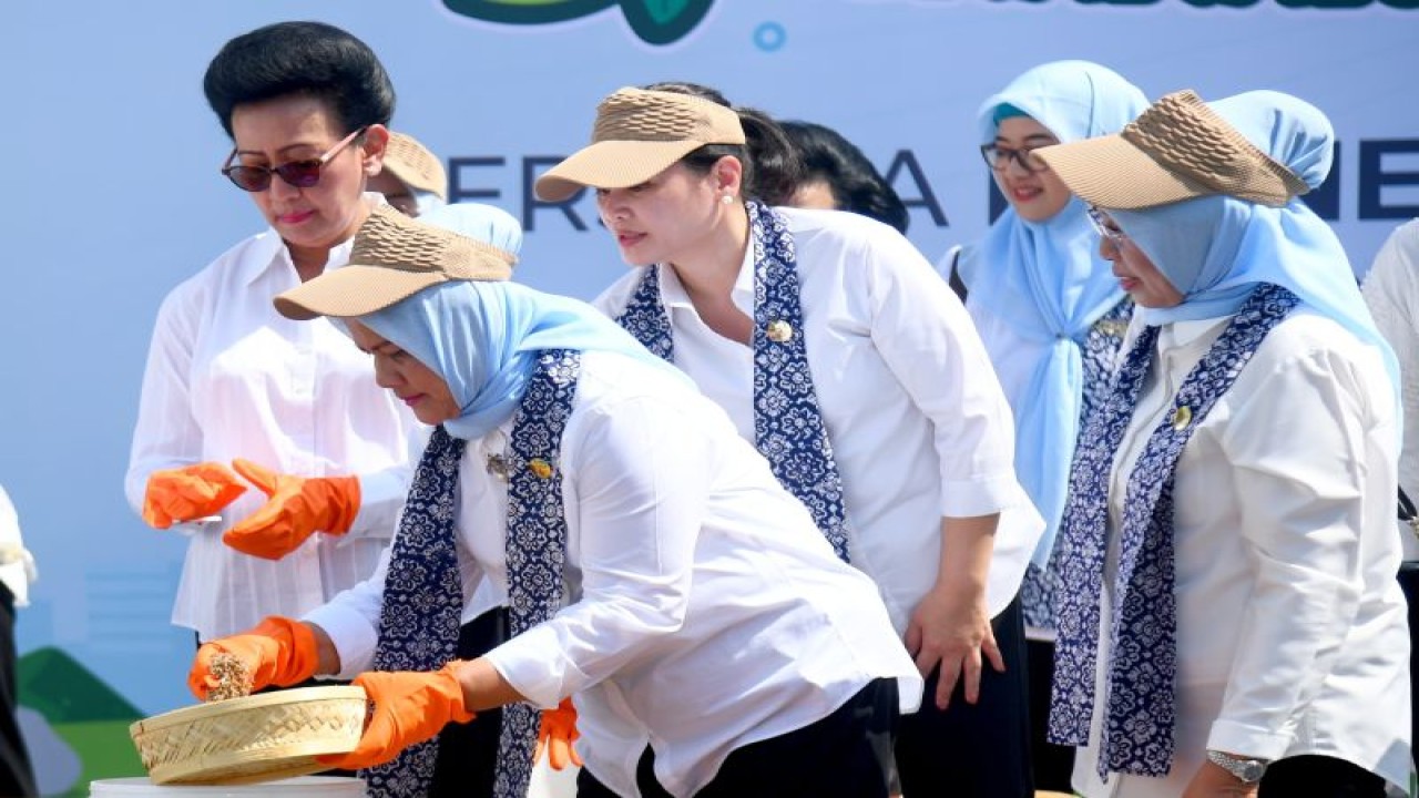 Ibu Negara Iriana Joko Widodo membuat pupuk kompos bersama anggota OASE KIM dan masyarakat di Yogyakarta, Selasa (19/9/2023). ANTARA/HO-Biro Pers Sekretariat Presiden