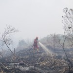Jambi terdampak asap kebakaran hutan dan lahan di Sumatera Selatan-1695981346