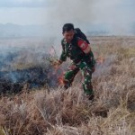 Kebakaran lahan persawahan di Lembor NTT berhasil dilokalisir-1695980395