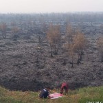 KLHK segel enam lokasi kebakaran hutan dan lahan di Sumatera Selatan-1695728740