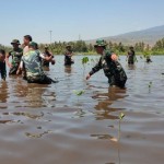 Kodim 1615 tanami Pantai Makam Keramat Lombok Timur dengan mangrove-1695806539
