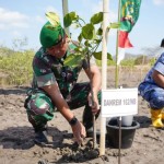 Korem Wira Bhakti tanam sebanyak 7.000 bibit mangrove di wilayah NTB-1695809117