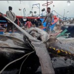 KTT AIS berpotensi bawa perbaikan kualitas ekosistem pesisir dan laut-1695624726