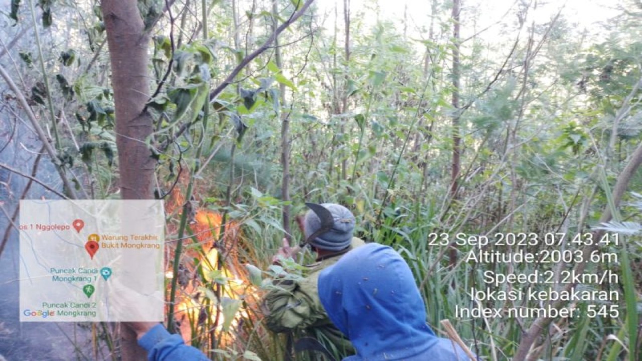 Masyarakat dan petugas Perhutani memadamkan api di kawasan lereng Gunung Lawu, Kabupaten Karanganyar, Jawa Tengah, Sabtu (23/9/2023). ANTARA/HO-Perhutani