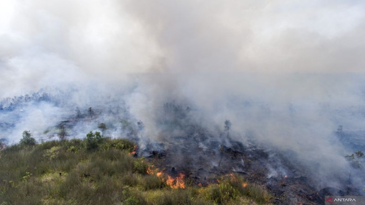 Foto udara api membakar lahan gambut di Pedamaran, Ogan Komering Ilir (OKI), Sumatera Selatan, Senin (18/9/2023). Balai Pengendalian Perubahan Iklim dan Kebakaran Hutan dan Lahan Wilayah Sumatera menerjunkan 9 regu Manggala Agni dari Daops OKI, Lahat, Muba, Banyuasin dan Jambi untuk melakukan pemadaman kebakaran lahan gambut di wilayah tersebut. ANTARA FOTO/Nova Wahyudi/rwa.