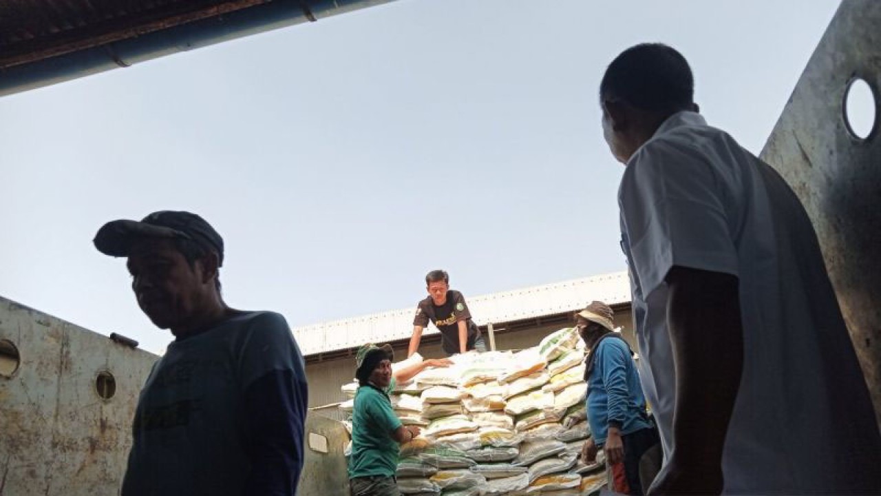 Pekerja menata beras bantuan pangan pemerintah ke dalam truk untuk didistribusikan ke sejumlah wilayah kerja Bulog Cirebon, Jawa Barat, Selasa (19/9/2023). ANTARA/Fathnur Rohman