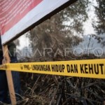Penyegelan karhutla di OKI, Sumatera Selatan. Antara Nova Wahyudi.-1695193734