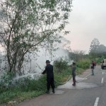 Petugas padamkan karhutla Musi Rawas, Sumatera Selatan (Istimewa)-1695967699