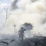 Seorang petugas saat memadamkan kebakaran lahan di Sampit, belum lama ini. (ANTARA/HO-BPBD Kotim)-1694511061